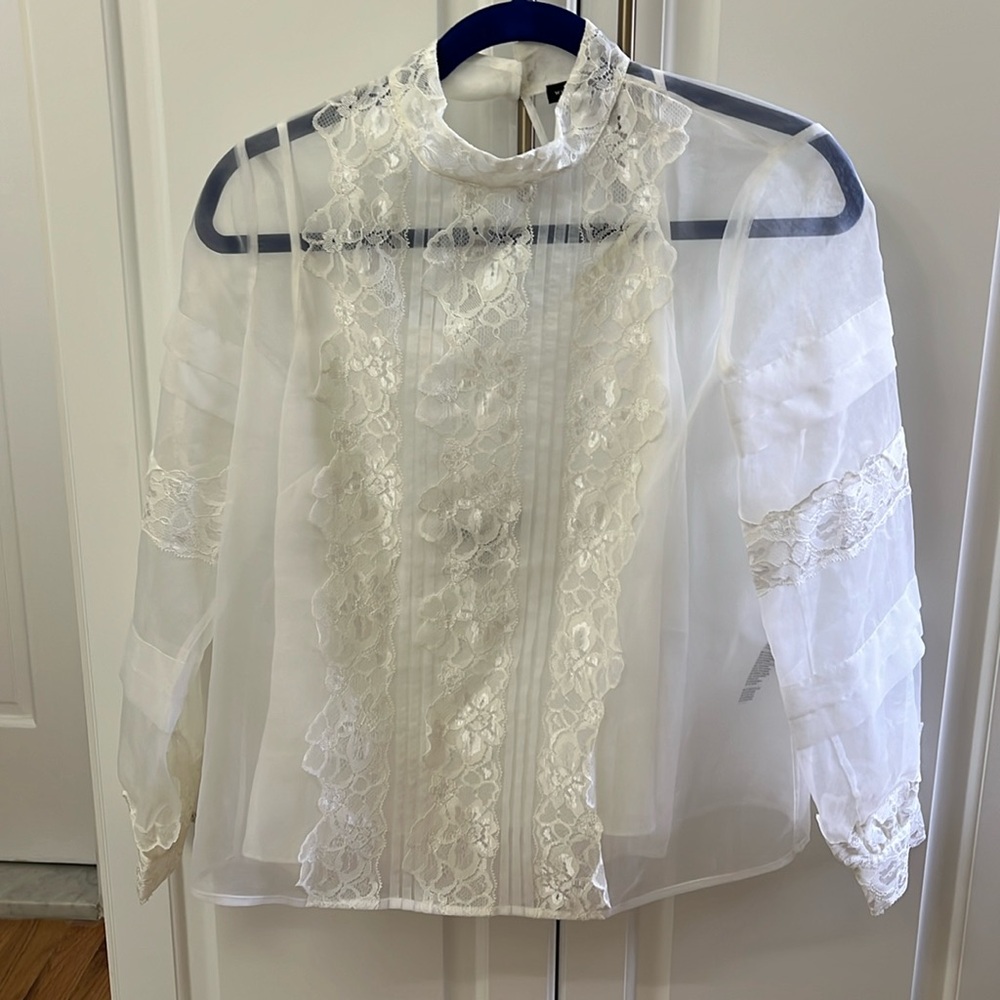 Organza with lace blouse